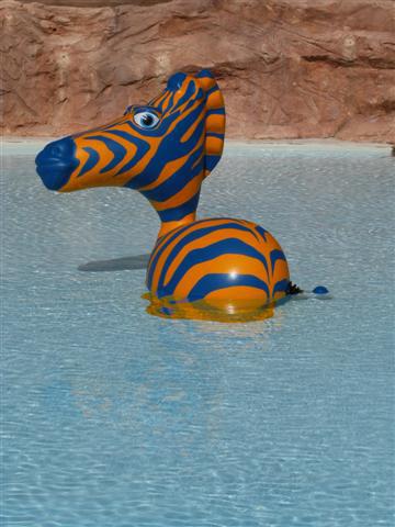 aquatoon zebre
