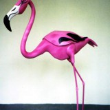 oiseau-flamant-rose