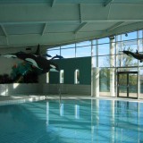 les orques, parc aquatique poisson en mousse